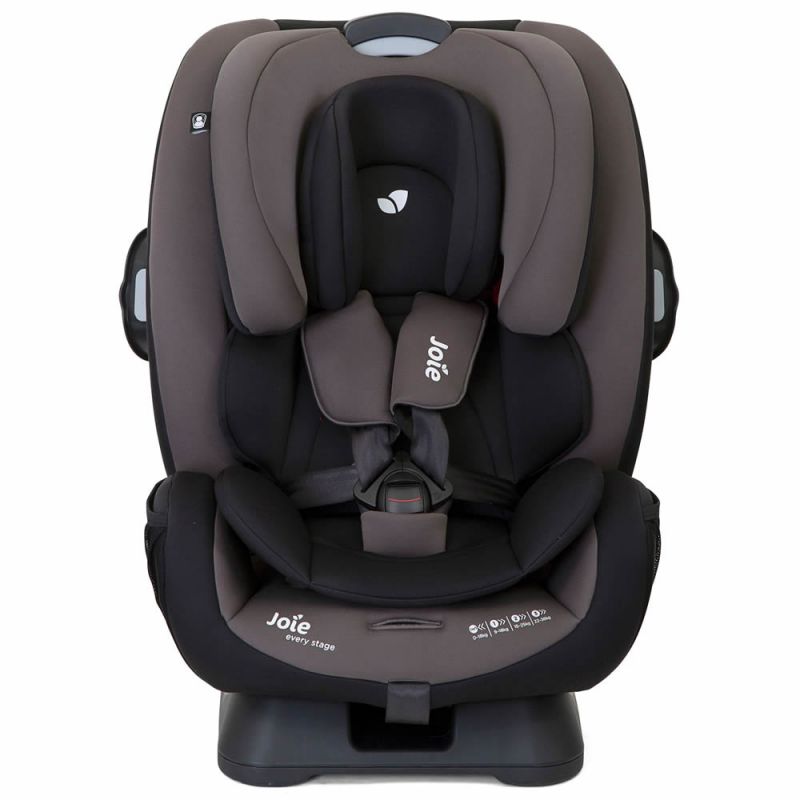 joie every stage salsa