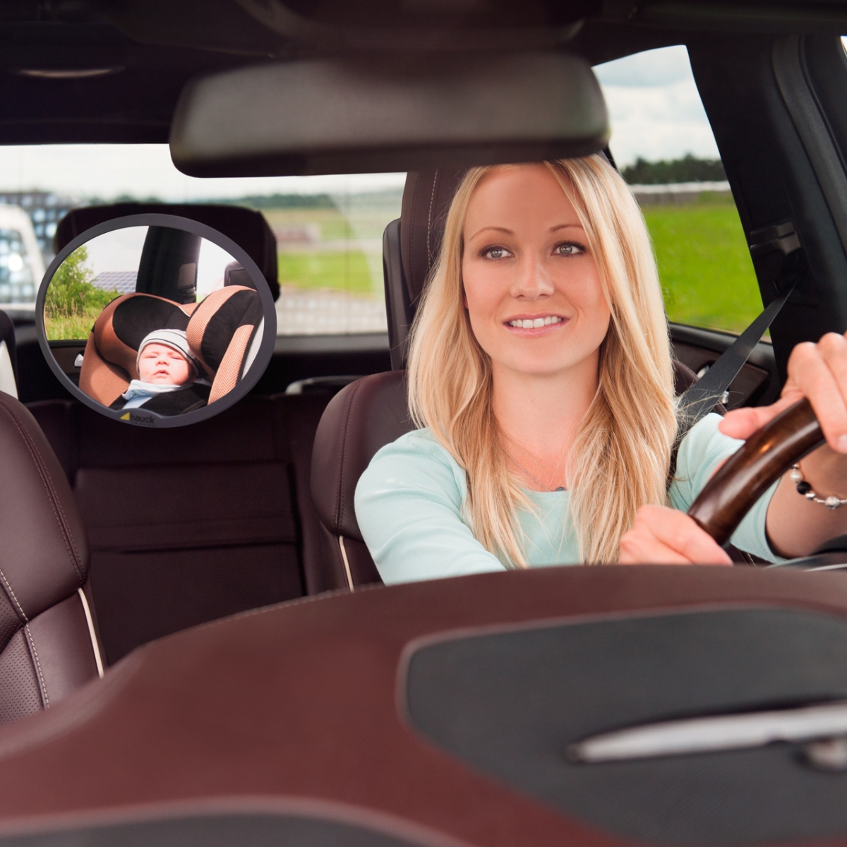 rearward facing mirror