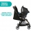 Chicco Goody Plus Stroller- Black Lux 