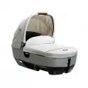 Joie Calmi Dual Use Carrycot Signature-Oyster