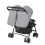 Graco DuoRider Double Pushchair - Steeple Grey