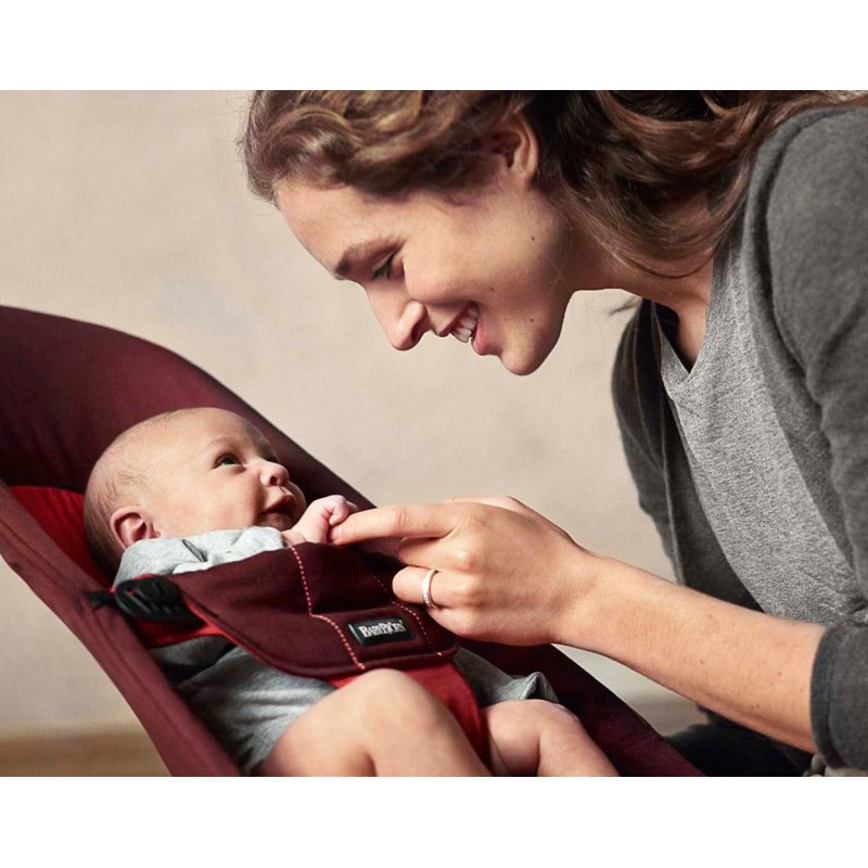 baby kingdom baby bjorn bouncer