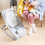 Joie Dreamer Rocker -