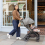 Joie Signature Parcel LX Stroller -