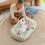 Chicco 4in1 Tummy Pod - Olive