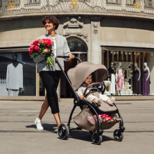 Britax Rio Pushchairs