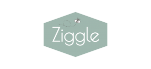 Ziggle 